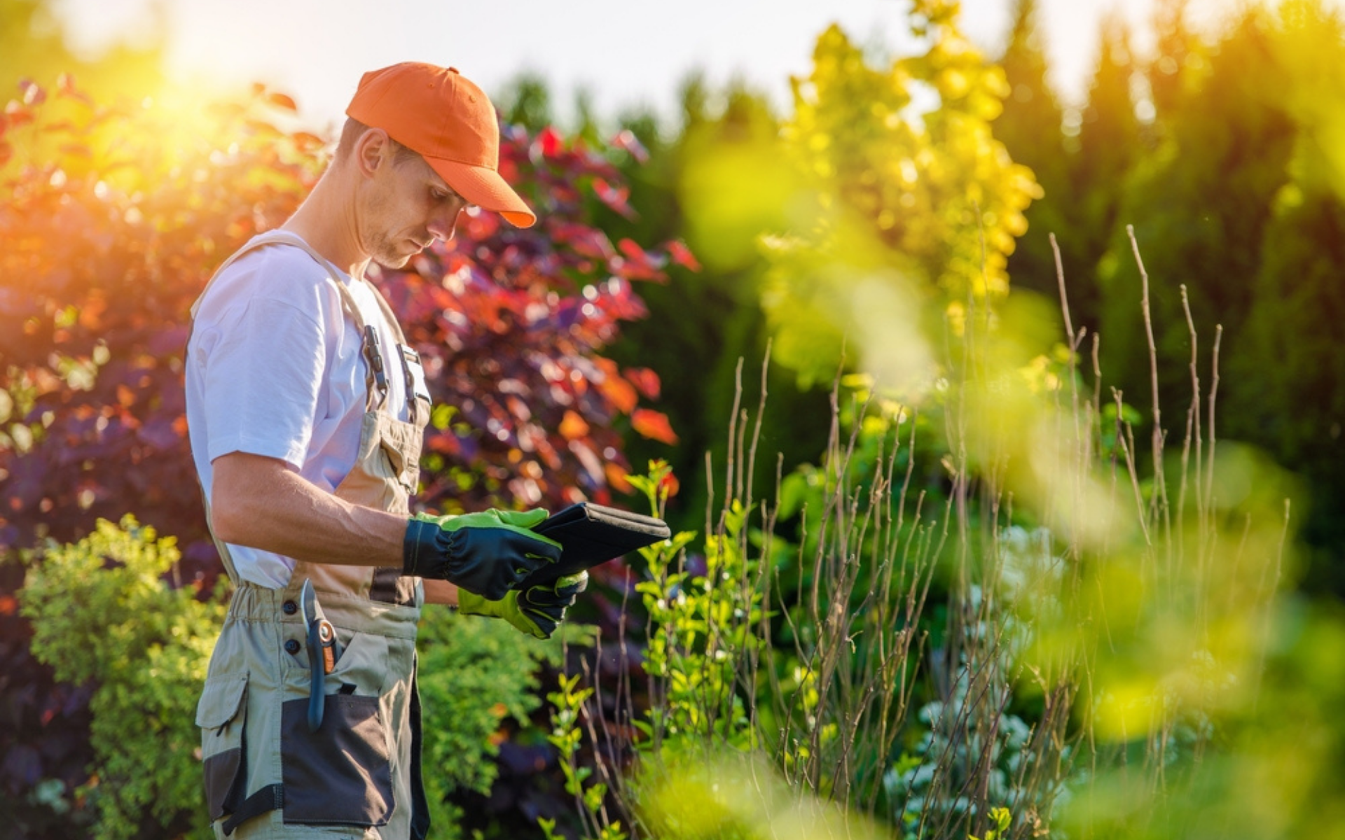 start-a-landscaping-business